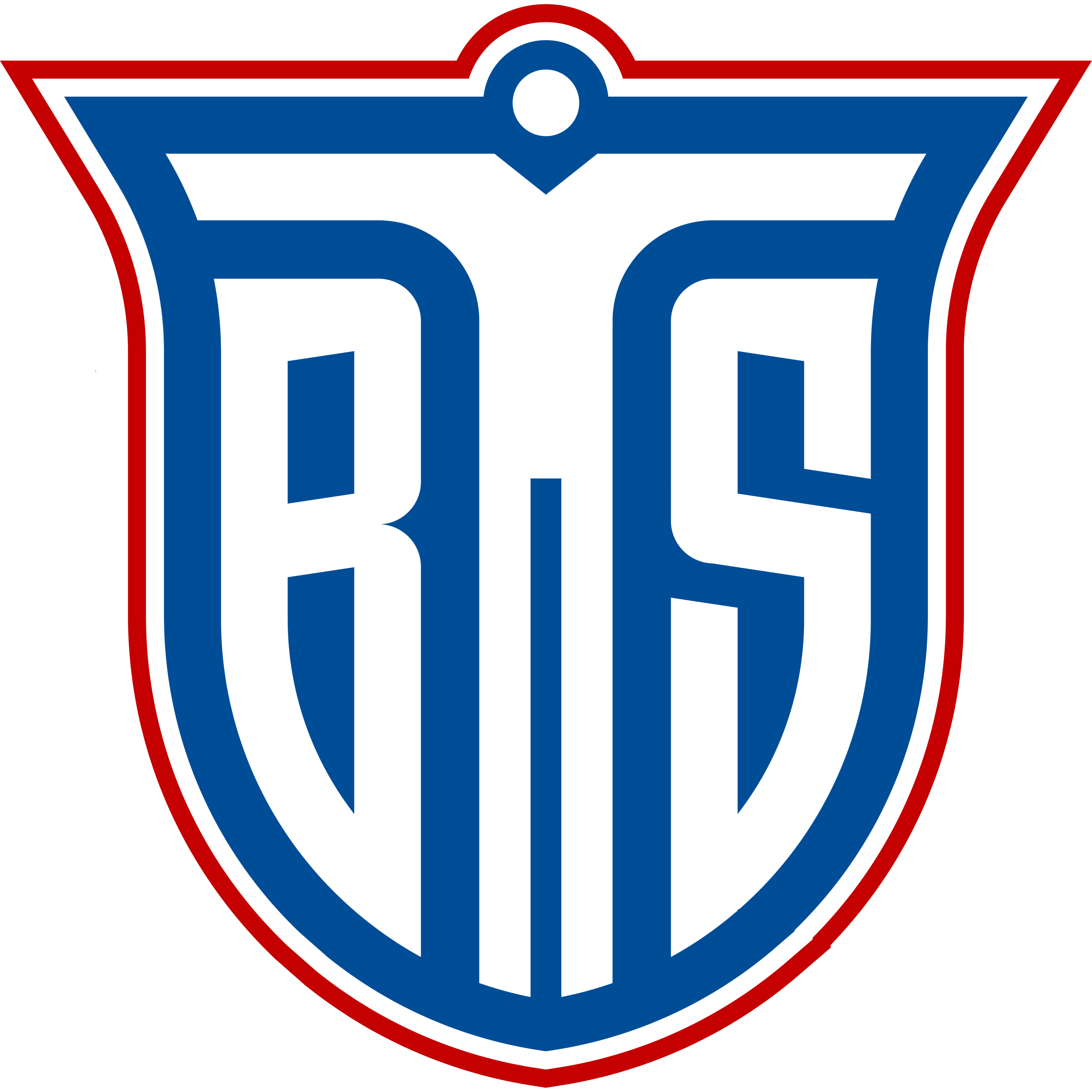 Logo BIS